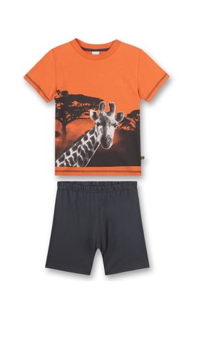 Sanetta Пижама 233106 22086