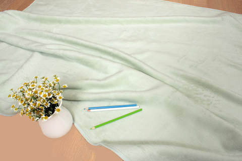 Плед детский 100х140 Luxberry Бамбук 269 02 зелёный