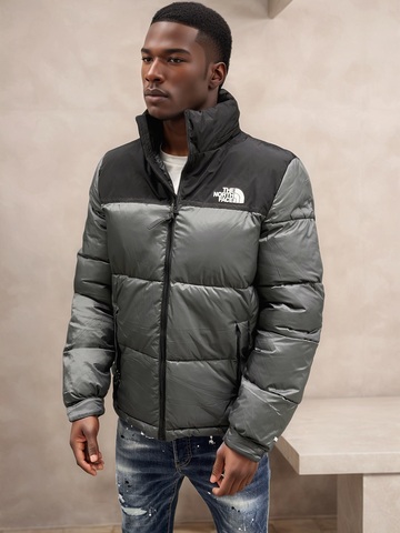 Куртка The North Face 374982grey