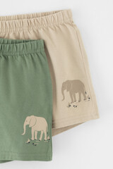 трусы/ уп  для мальчика  К 1912-2уп/папоротник,темно-бежевый