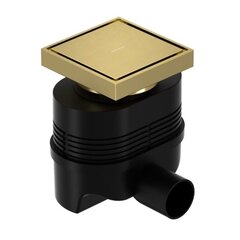 Allen Brau 9.50025.GB 9.50025.GB PRIORITY Точечный трап с двухсторонней вставкой 10х10мм, золото браш (347405) фото