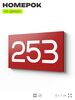 Номер на дверь 253, табличка на дверь для офиса, квартиры, кабинета, аудитории, склада, красная 120х70 мм, Айдентика Технолоджи