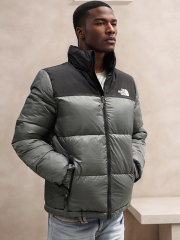 Куртка The North Face 374982grey