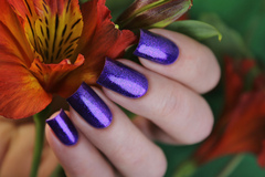 El Corazon 423/ 951 active Bio-gel  Eastern Organza