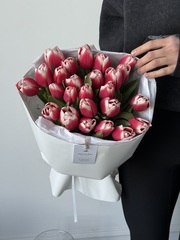 Букет из 25-ти красно-белых тюльпанов
