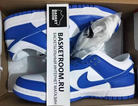 kentucky blue nike dunks