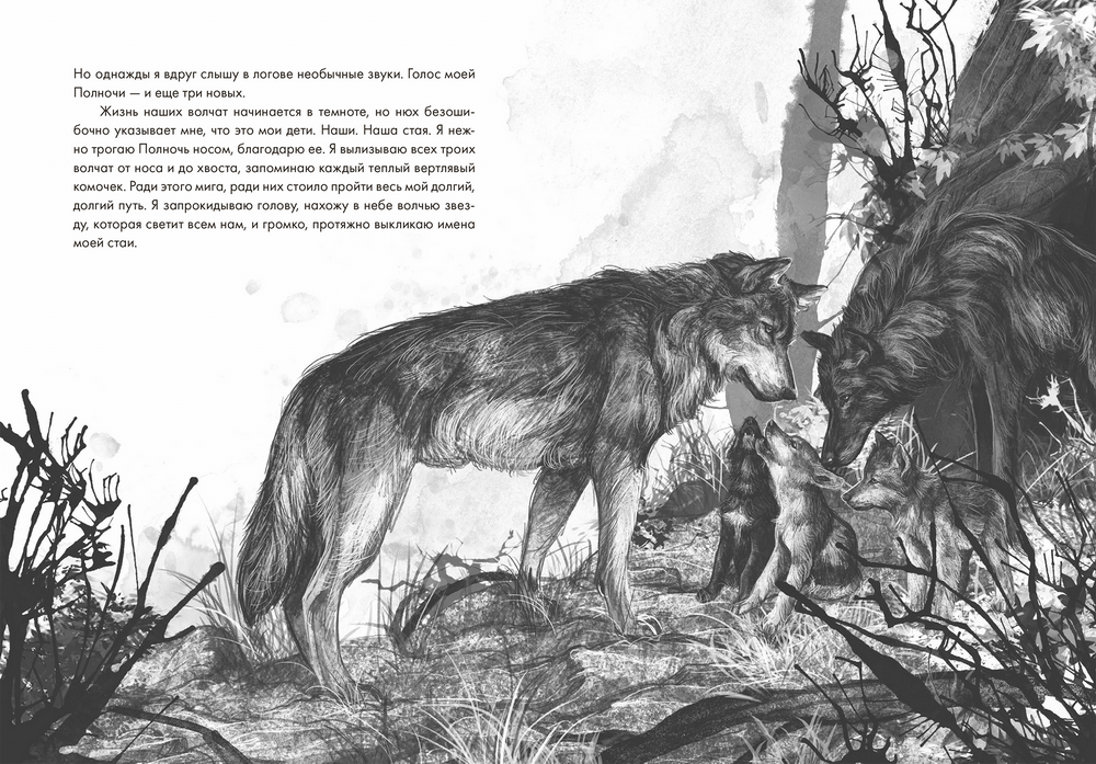 Книги о волках Художественные. Книга волк. Книга про стаю Волков.