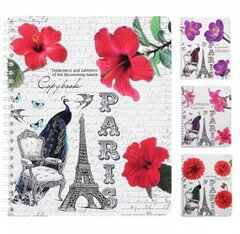 Тетрадь КЛЕТКА 48л. ПАРИЖ И ПТИЦЫ (48Л-6915) гребень. выб.лак. цвет.мелов.обл.