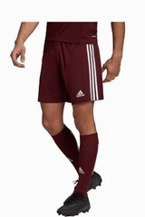 Шорты adidas Squadra 21