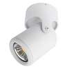 Светильник точечный Arte Lamp Libra A3316PL-1WH
