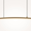 Подвесной светильник Maytoni Curve MOD243PL-L18BSK