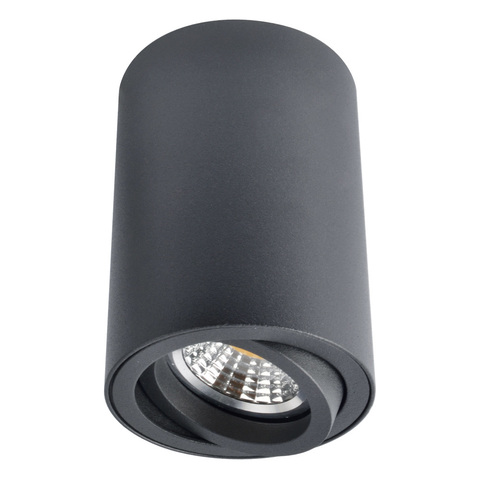 Светильник точечный Arte Lamp Sentry A1560PL-1BK