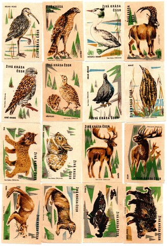 Набор спичечных этикеток - ZIVA KRASA - Красная книга ЧССР - ČSSR - 16 штук