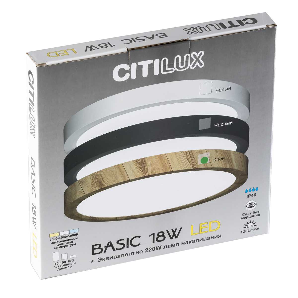 Светильник накладной Citilux Бейсик CL738122N
