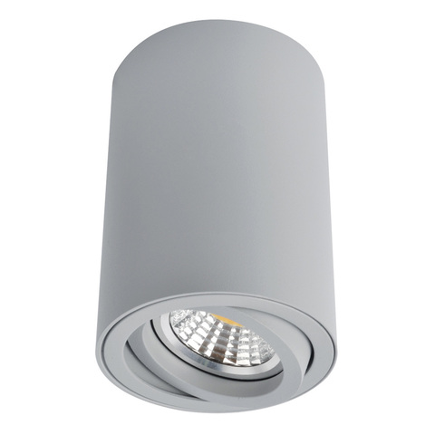 Светильник точечный Arte Lamp Sentry A1560PL-1GY