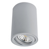 Светильник точечный Arte Lamp Sentry A1560PL-1GY