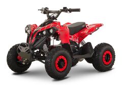Детский электрический квадроцикл RiverToys MARK 1200W