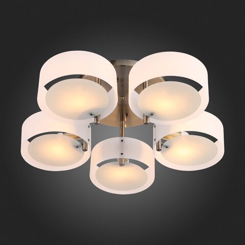 Светильник потолочный Evoluce Foresta SL483.352.05