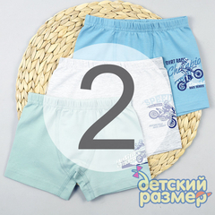 2 (3-4 года)