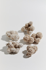 Роза пустыни