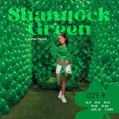 S 24''/60 см, Пастель, Зеленый клевер (029), 1 шт.