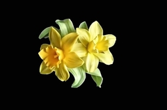 Силиконовый молд 