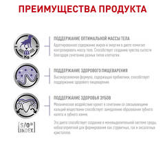 Royal Canin Neutered Adult Small Dog сухой корм для кастрированных собак мелких пород 3,5кг