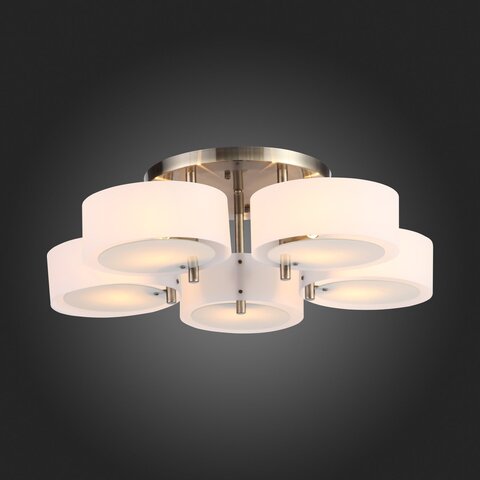 Светильник потолочный Evoluce Foresta SL483.352.05