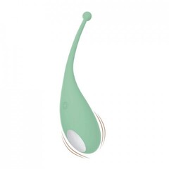 Виброяйцо Palpitation Mint от Adrien Lastic (синхронизация с приложением)