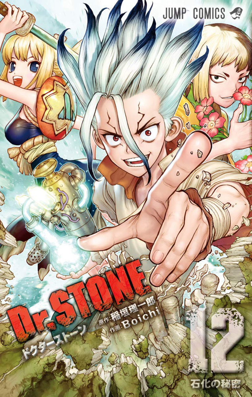 Dr STONE Vol. 12 (На японском языке) – купить по выгодной цене |  Интернет-магазин комиксов 28oi.ru