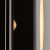 Настенный светильник Maytoni Theorema MOD288WL-L5B3K