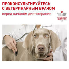 Royal Canin Neutered Adult Small Dog сухой корм для кастрированных собак мелких пород 3,5кг