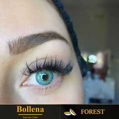 Bollena™ - FOREST