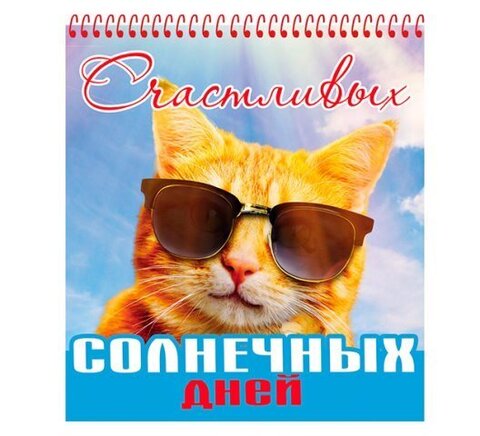 Блокнот А6 48 листов клетка 