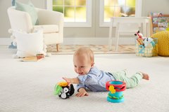 Fisher Price Развивающая игрушка 