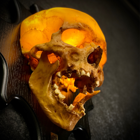 Ночник настенный «Череп человека»