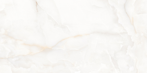 Staro Slim Mone Polished 60x120