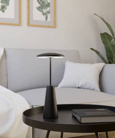 Аккумуляторная настольная лампа Eglo PICCOLA 900925