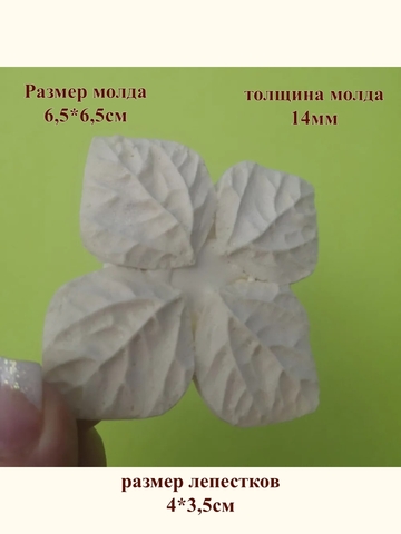Молд 