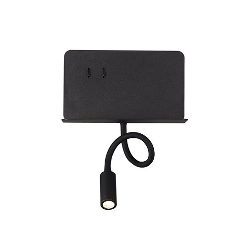 Светильник настенный ST Luce Pinaggio SL1576.401.02