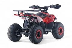 Детский электрический квадроцикл RiverToys LEON 1200W
