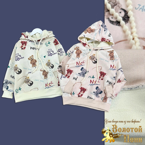 Толстовка начес д (9-14) 250823-NB468