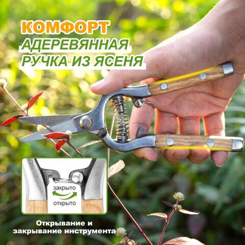 Секатор для обрезки с прямыми лезвиями и деревянной ручкой Berry&Bird