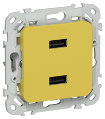 FLITE Розетка USB A+A 3,1А РЮ-2-ФлЖК желтый карри IEK