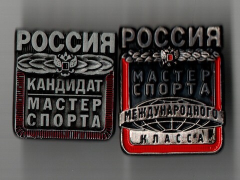 Комплект из 2 нагрудных знаков. Мастер спорта международного Класса России и Кандидат мастера спорта России