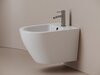 Ceramica Nova Whirl CN11008 Биде подвесное с крепежом для скрытого монтажа белый