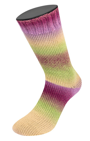 Lana Grossa Meilenweit Color Mix Multi 8016