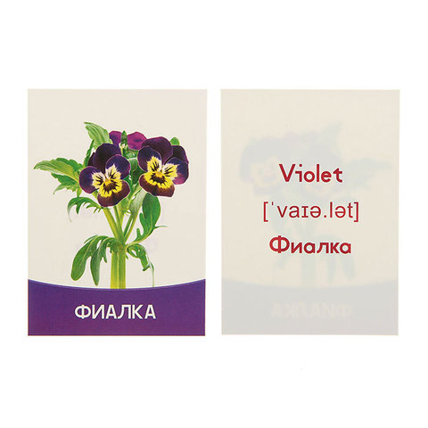 Обучающие карточки 