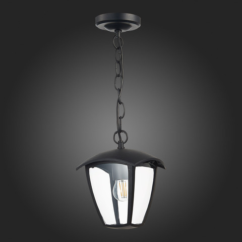 Светильник уличный подвесной ST Luce Sivino SL081.403.01