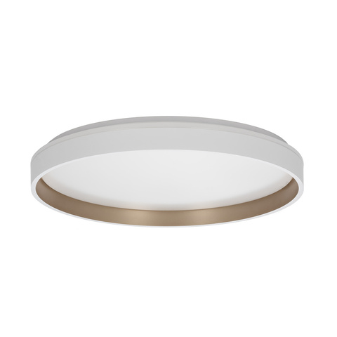 Потолочный светодиодный светильник Citilux ENZO CL753510G